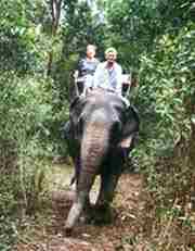 Elefant-Riding